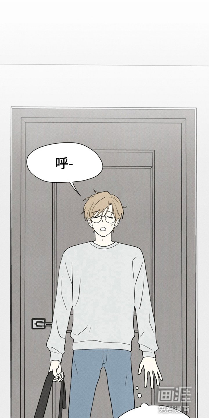 第17章：奇怪的软件