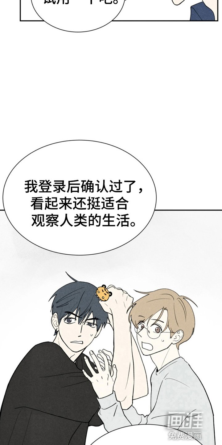 第18章：委托