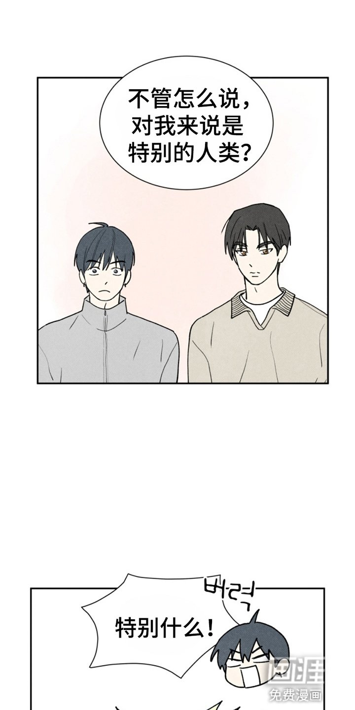 第19章：散步