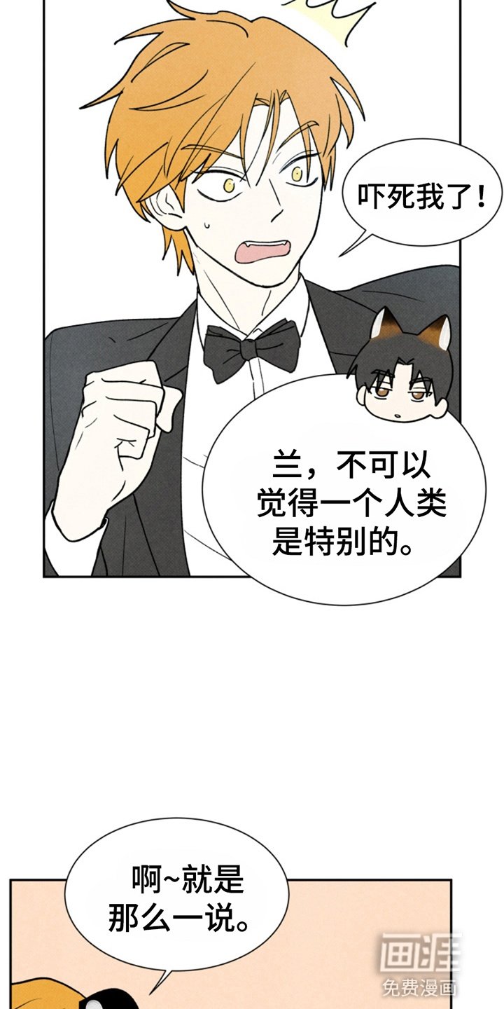 第19章：散步