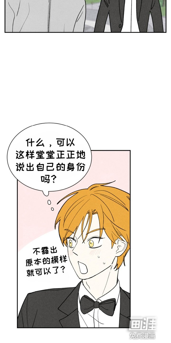 第19章：散步