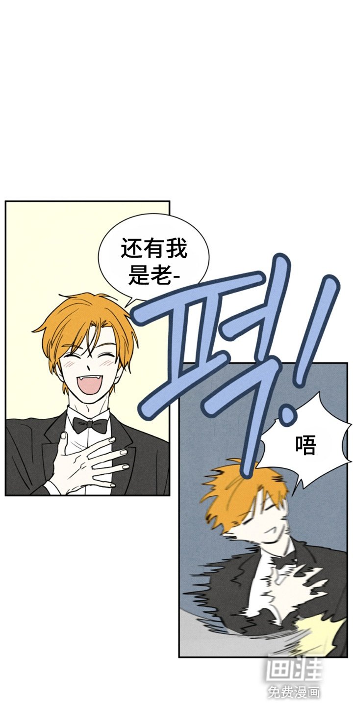 第19章：散步