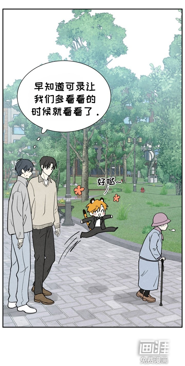 第19章：散步