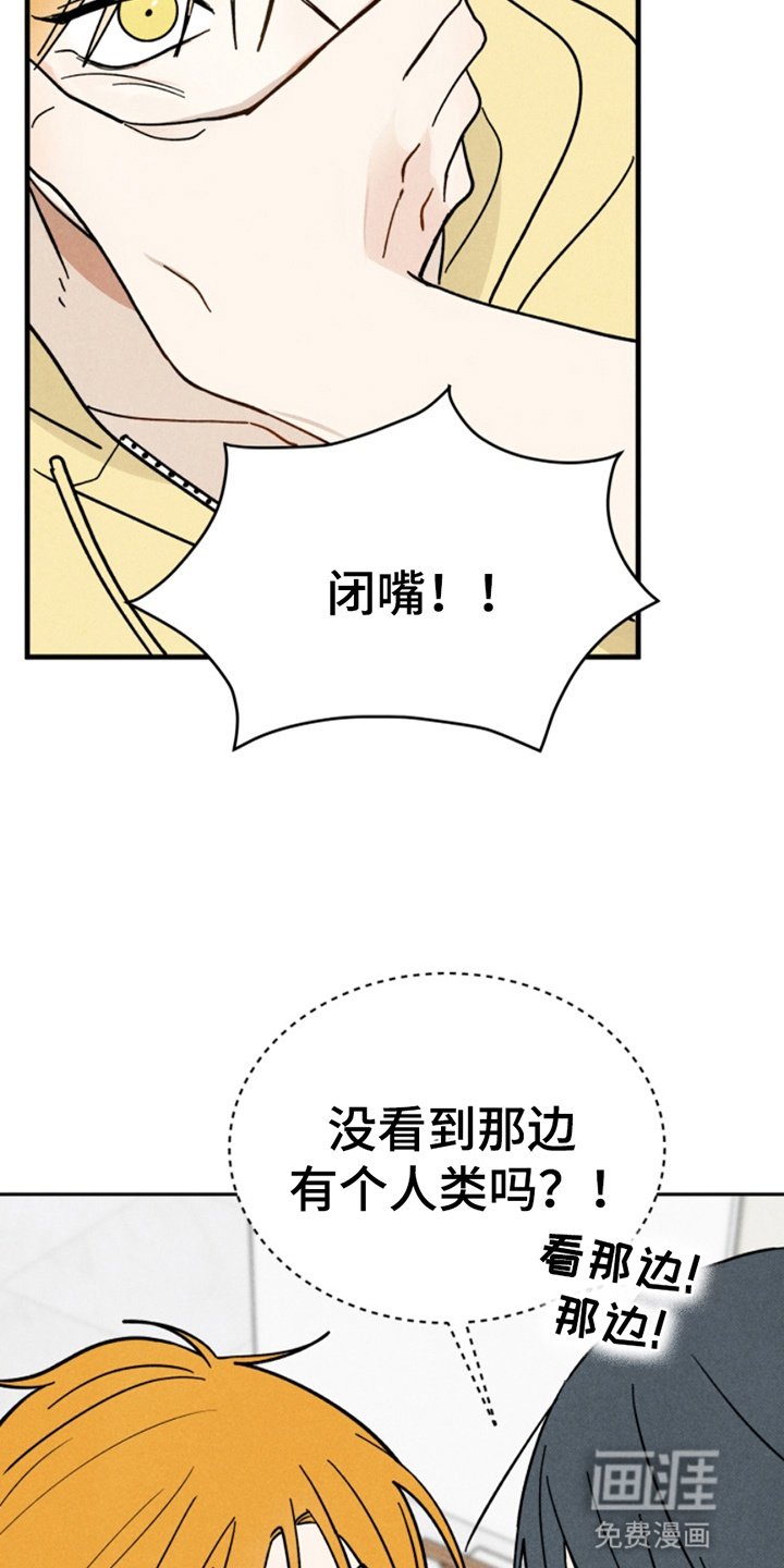 第2章：化虎