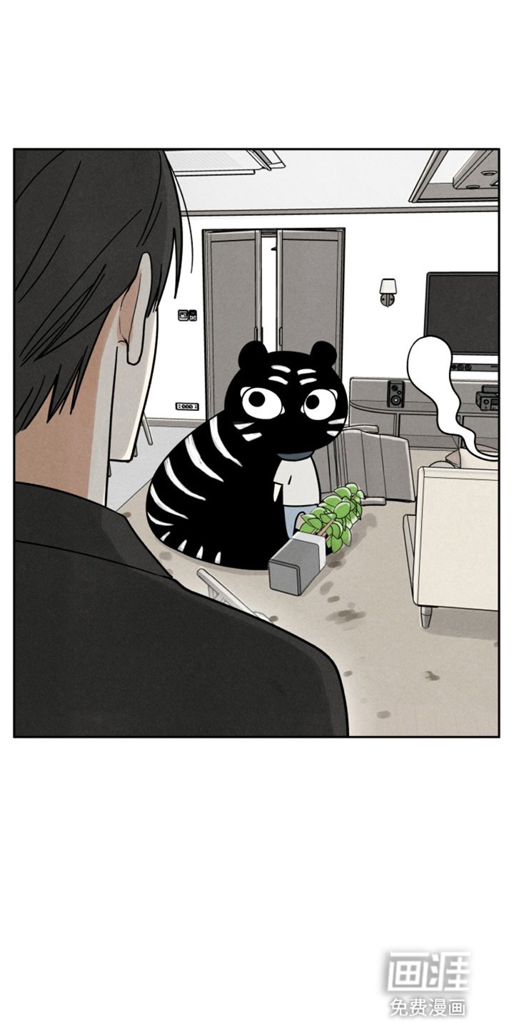 第3章：不是梦