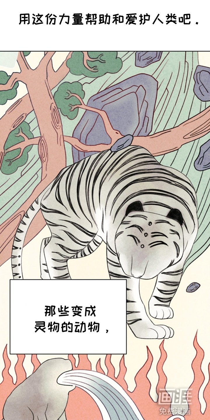 第6章：灵物