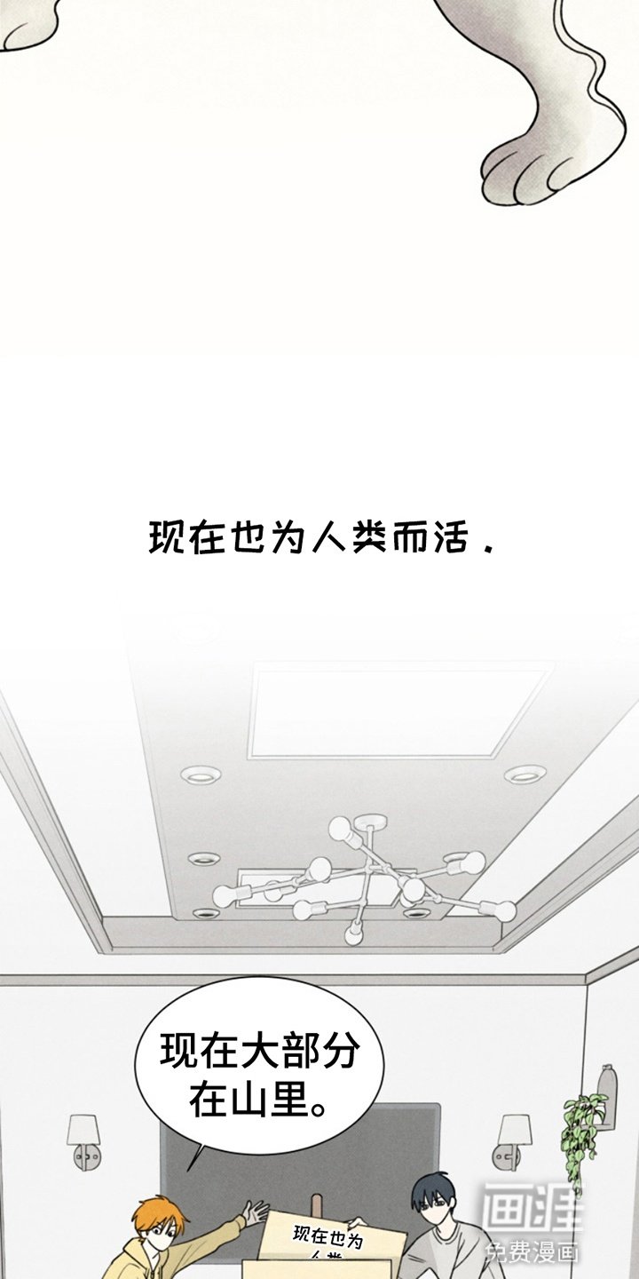 第6章：灵物