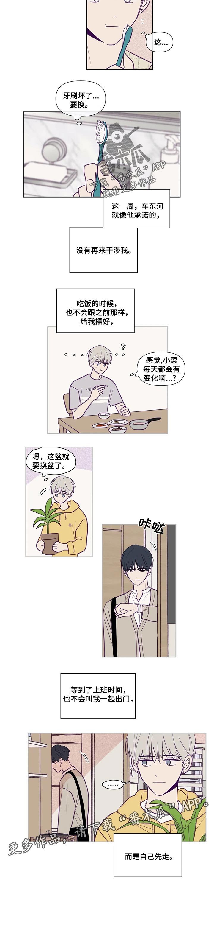 第101章：选择权