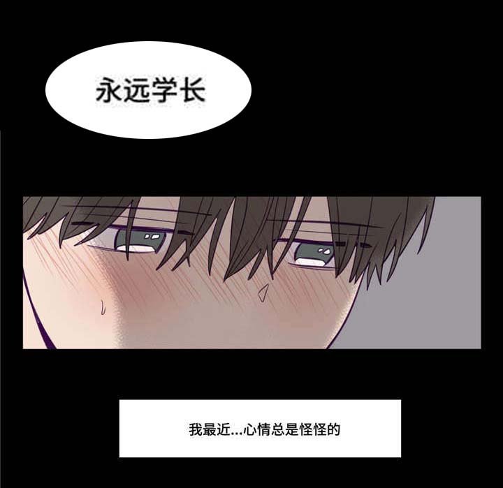 第17章：我行我素