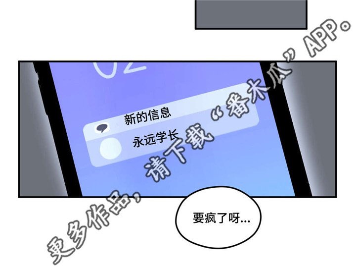 第17章：我行我素