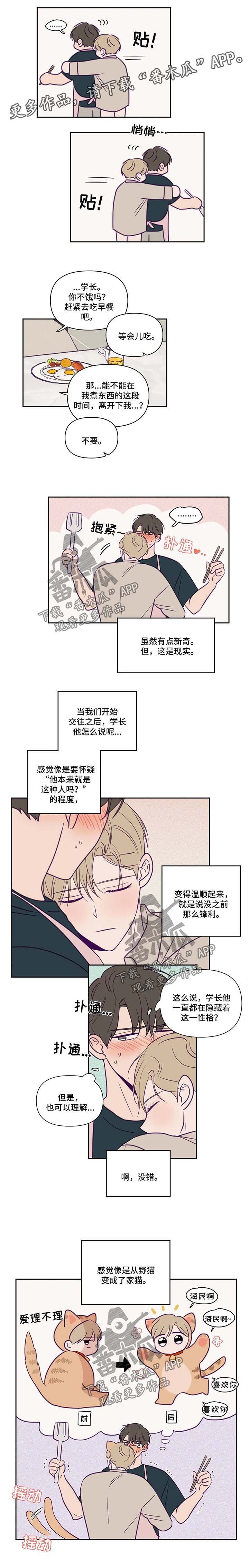 第63章：旅行计划
