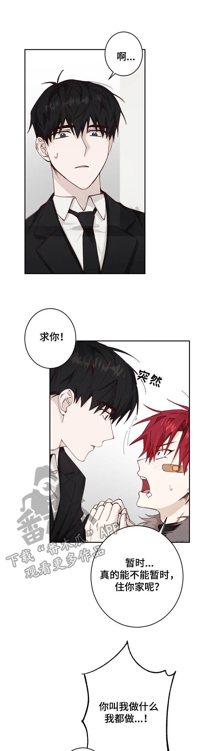 第4章：收留