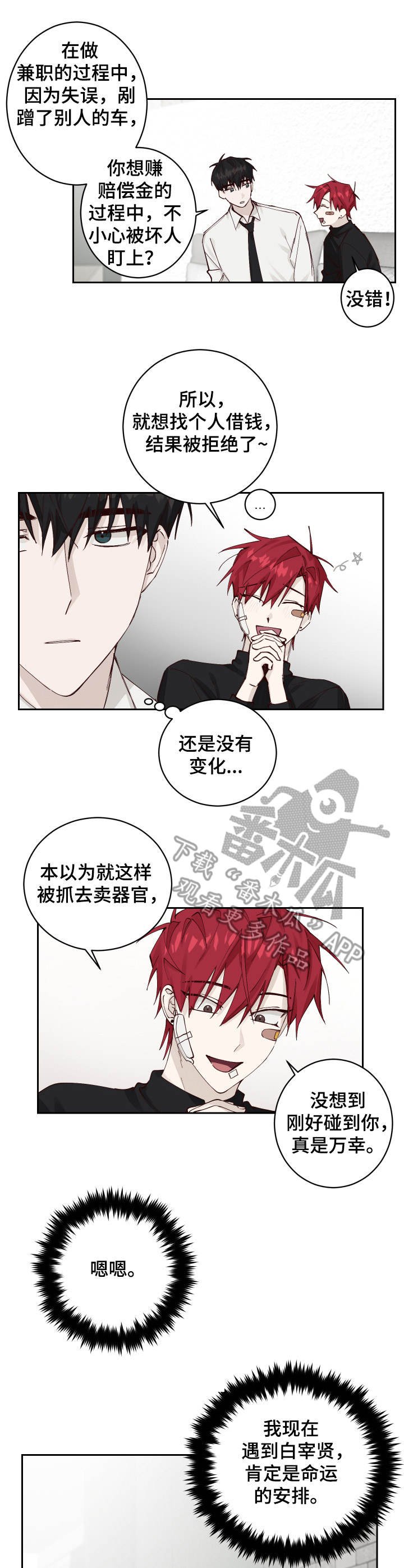 第4章：收留