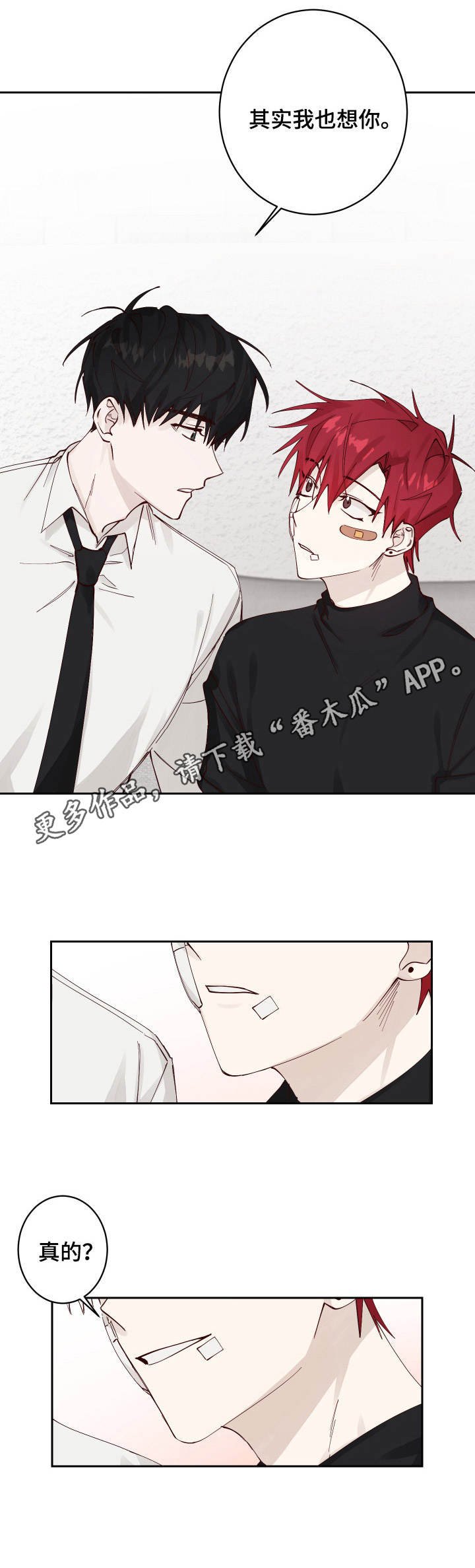 第4章：收留