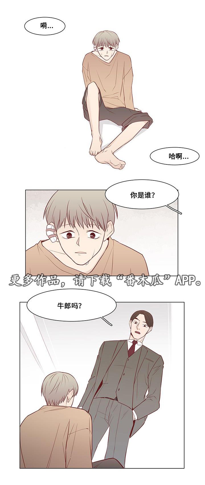 第11章：试探