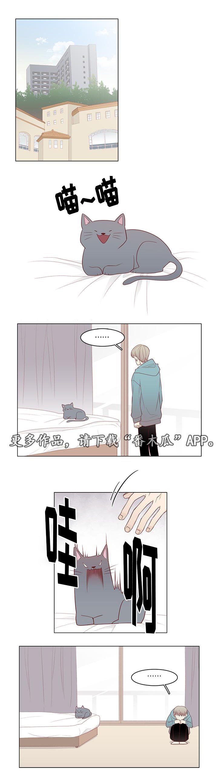 第12章：心动