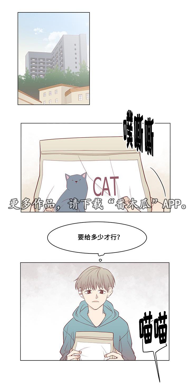 第13章：偶遇