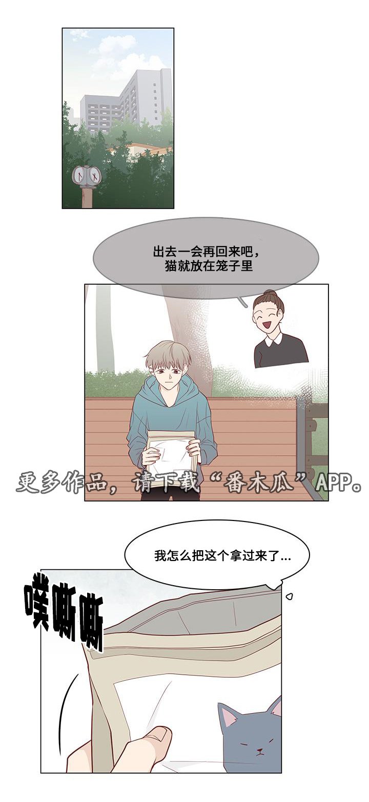 第13章：偶遇