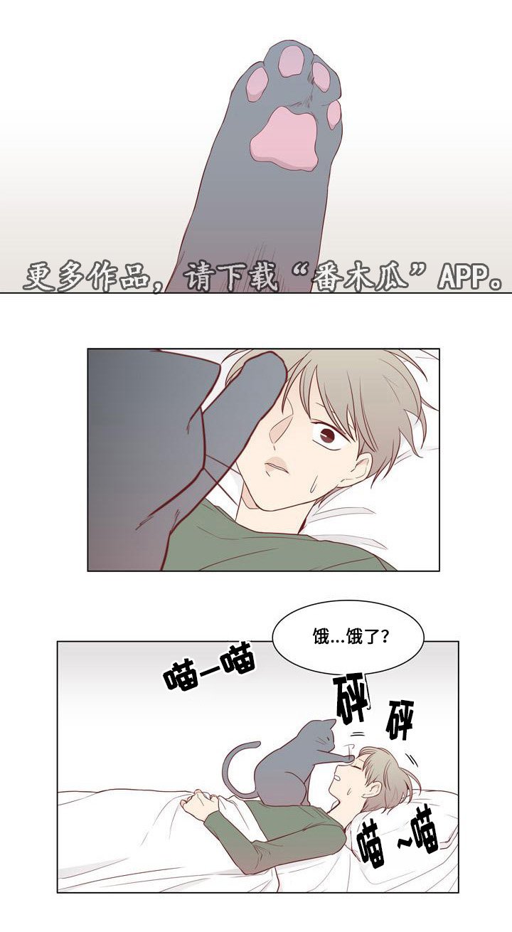 第16章：小人