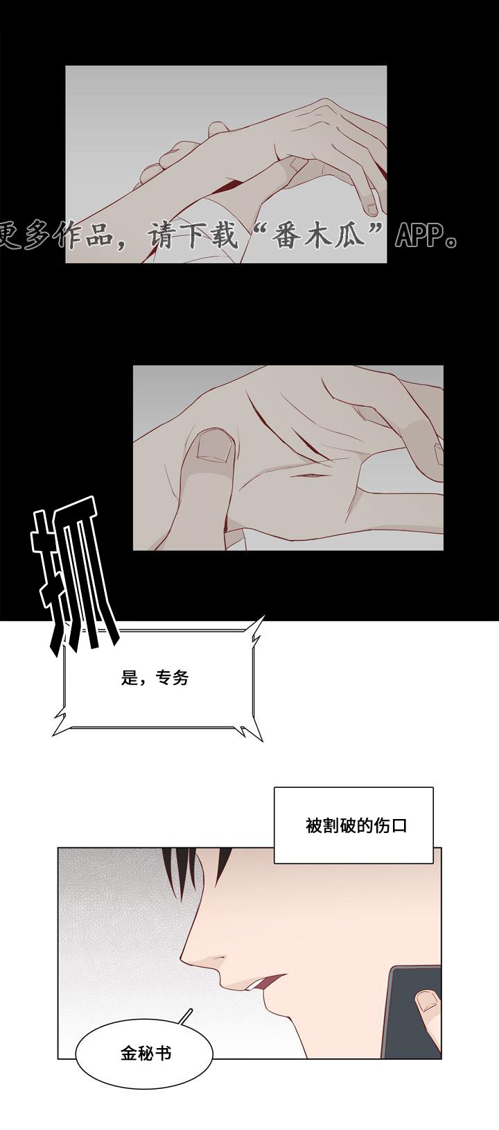 第17章：怀疑