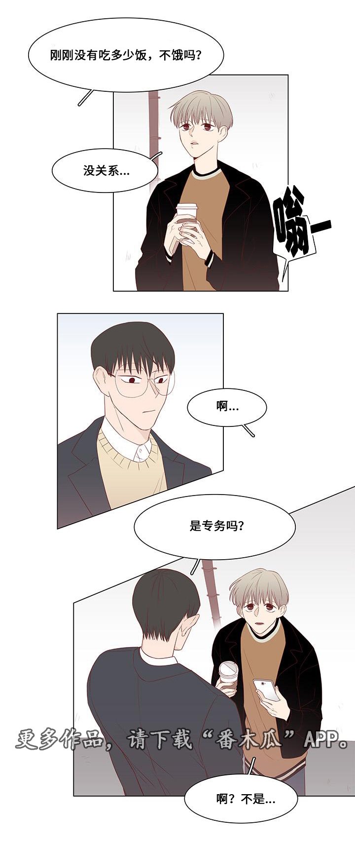 第19章：二手准备