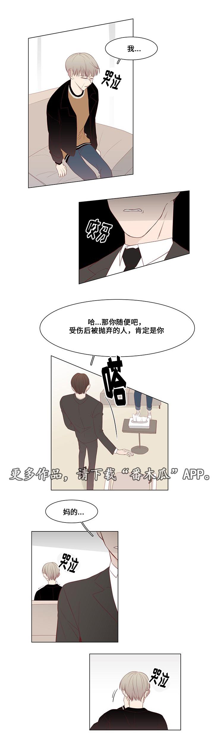 第19章：二手准备