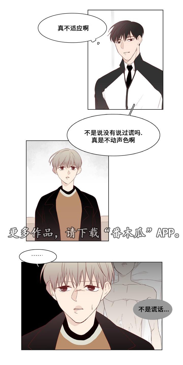 第20章：谎言