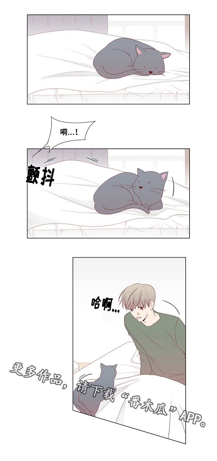 第24章：尾随