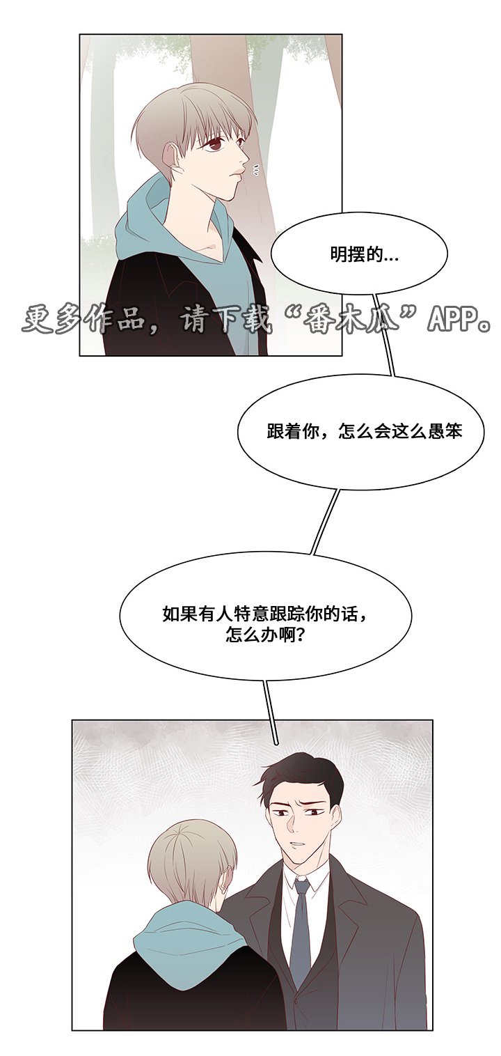 第25章：坦白