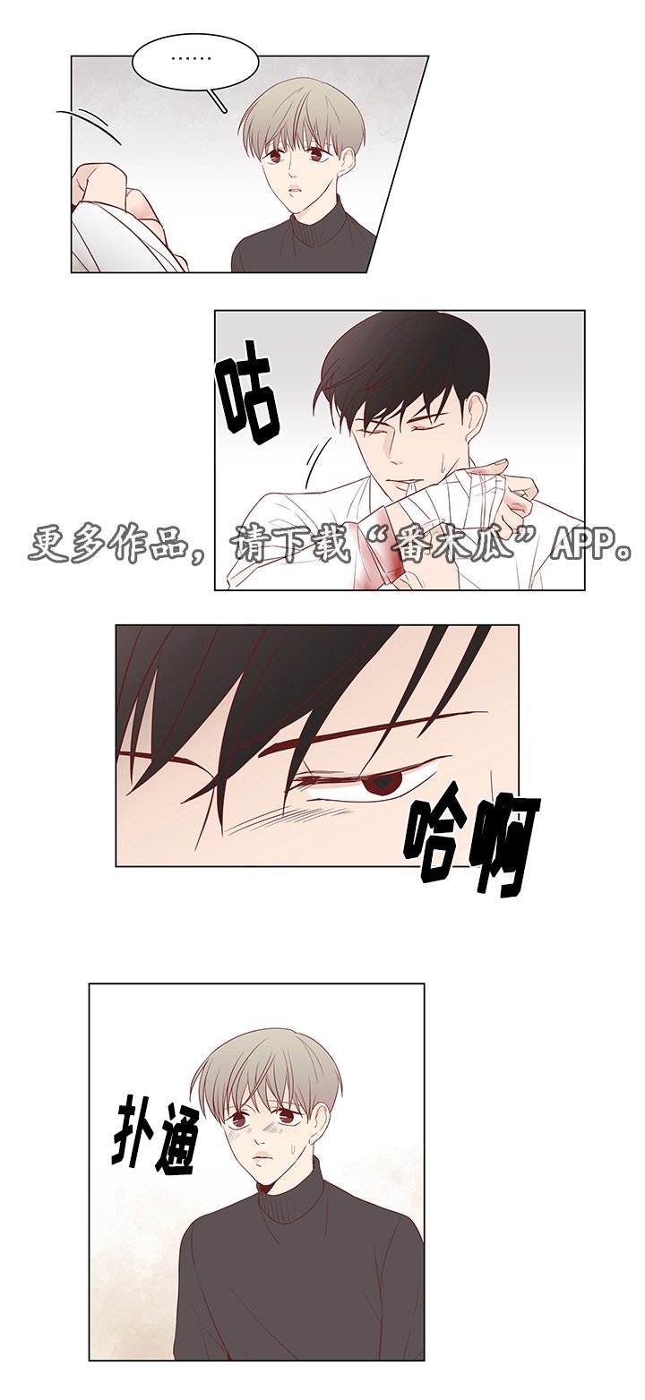 第29章：对话