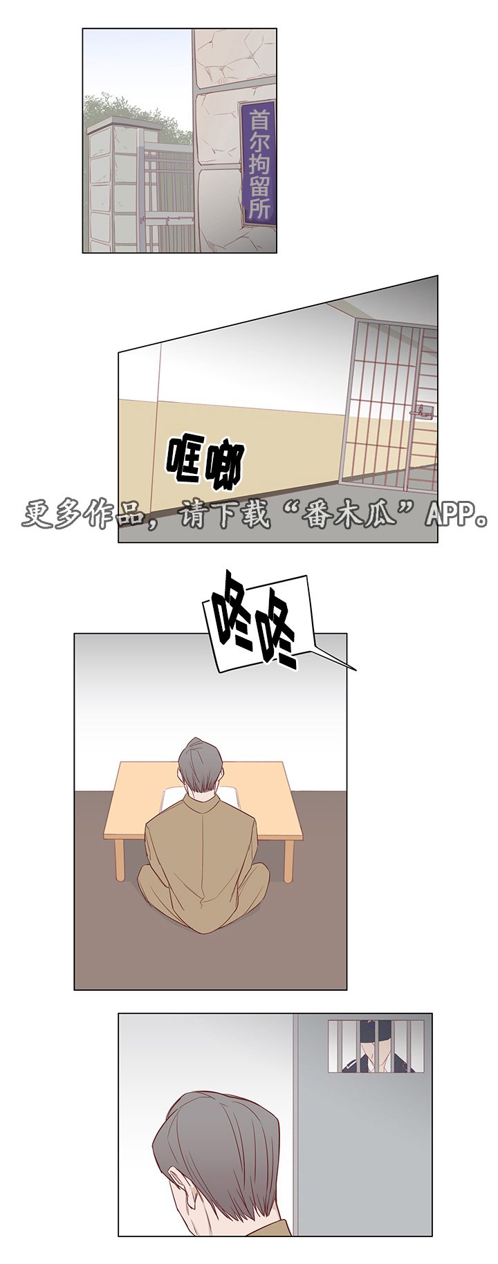 第31章：未来打算