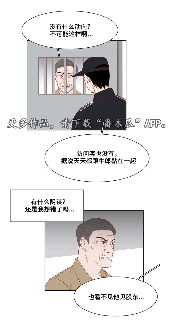 第31章：未来打算