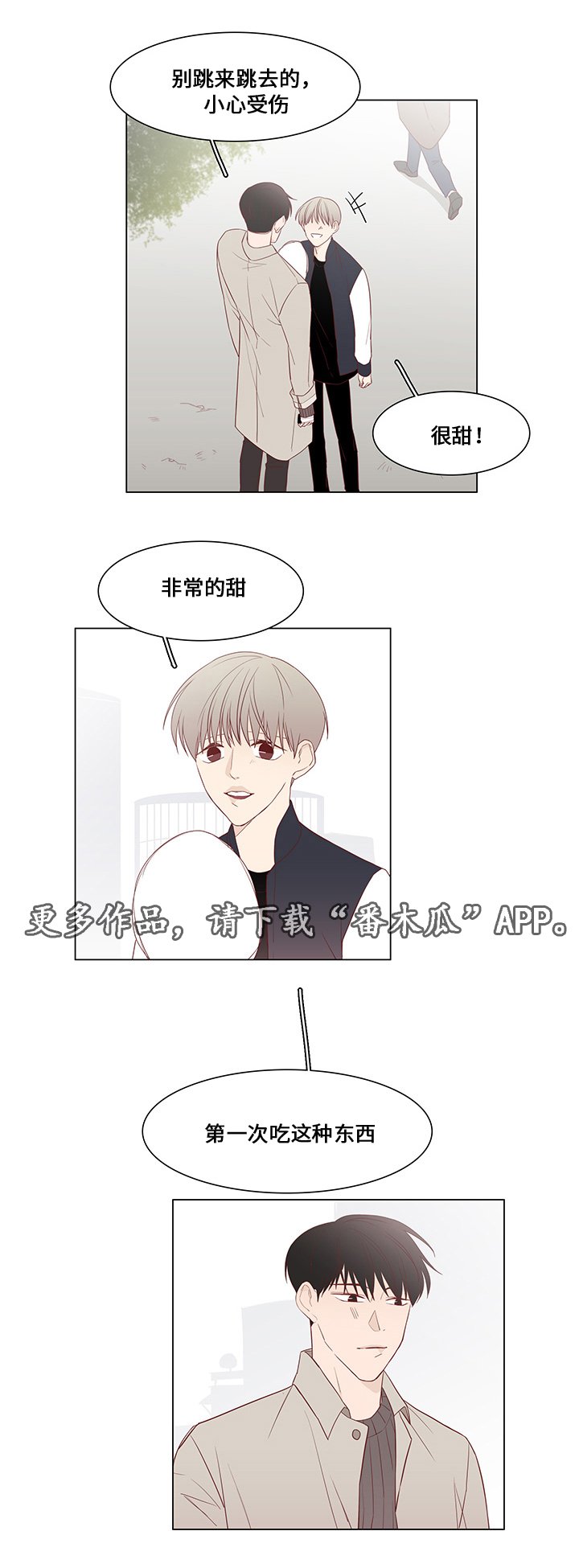 第31章：未来打算