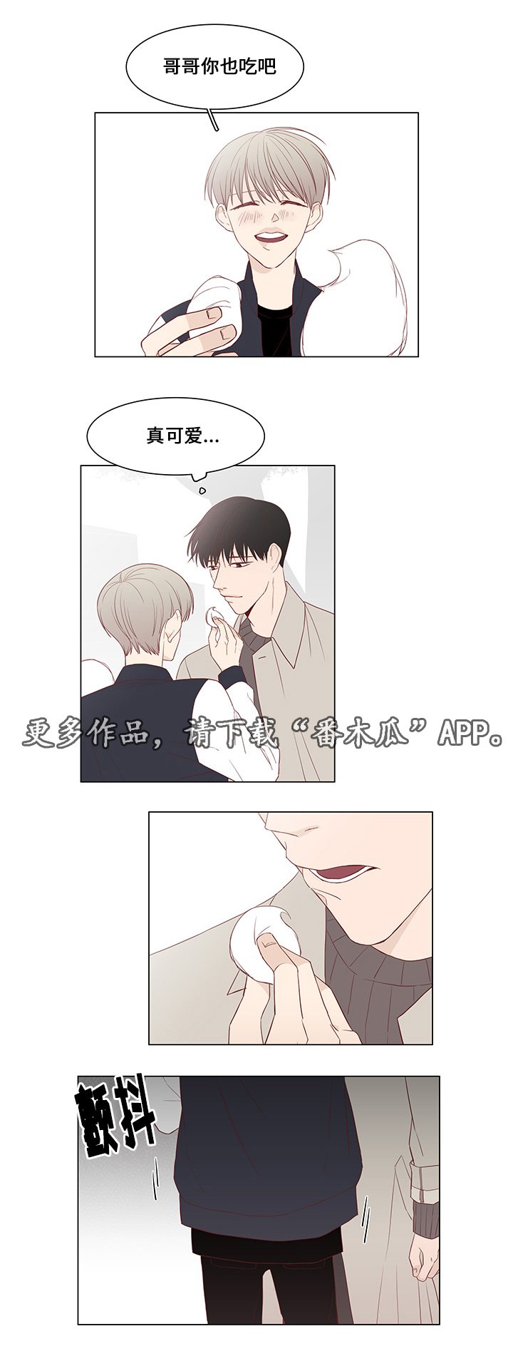 第31章：未来打算