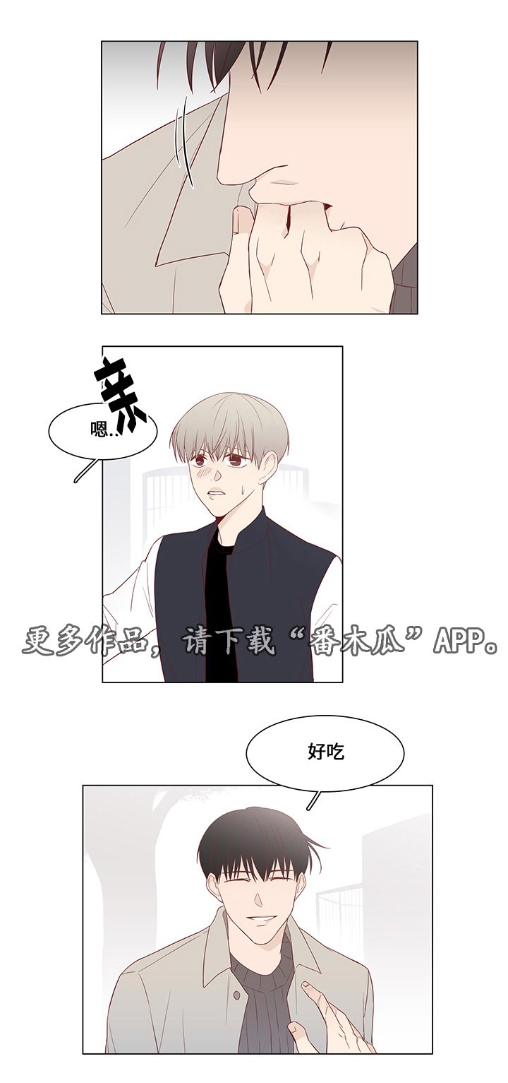 第31章：未来打算