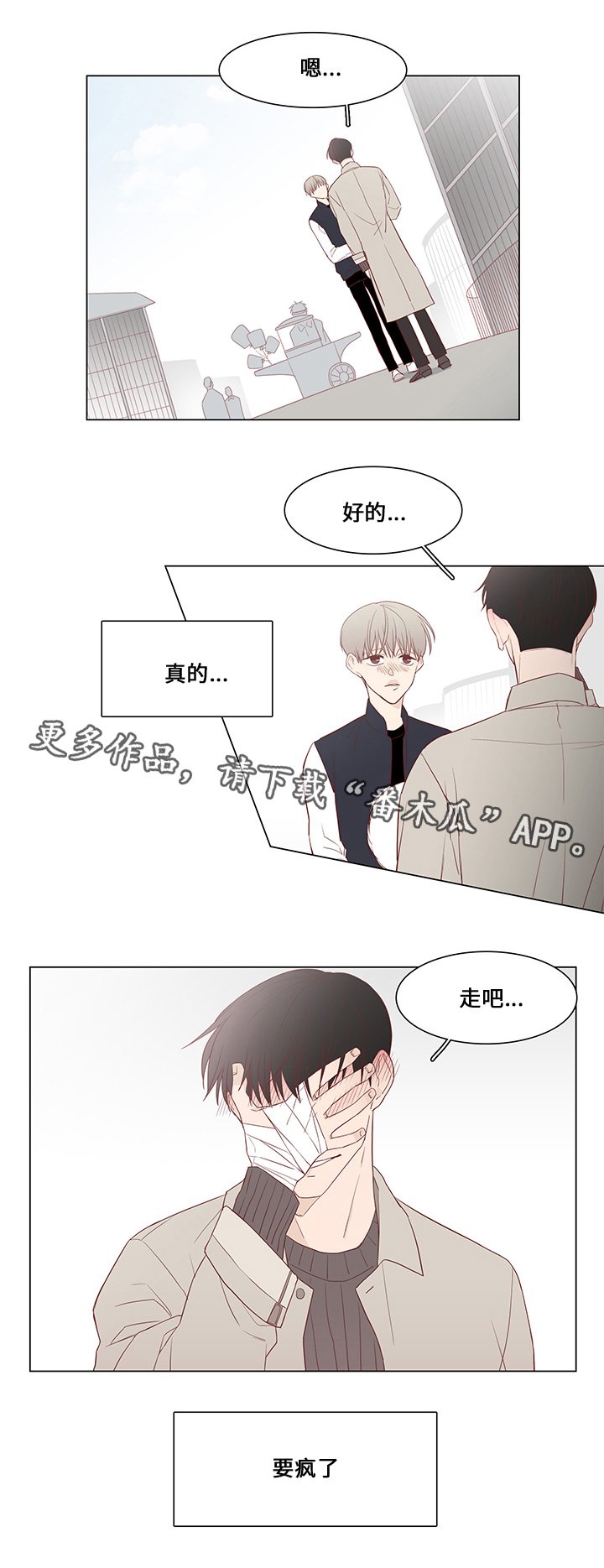 第31章：未来打算