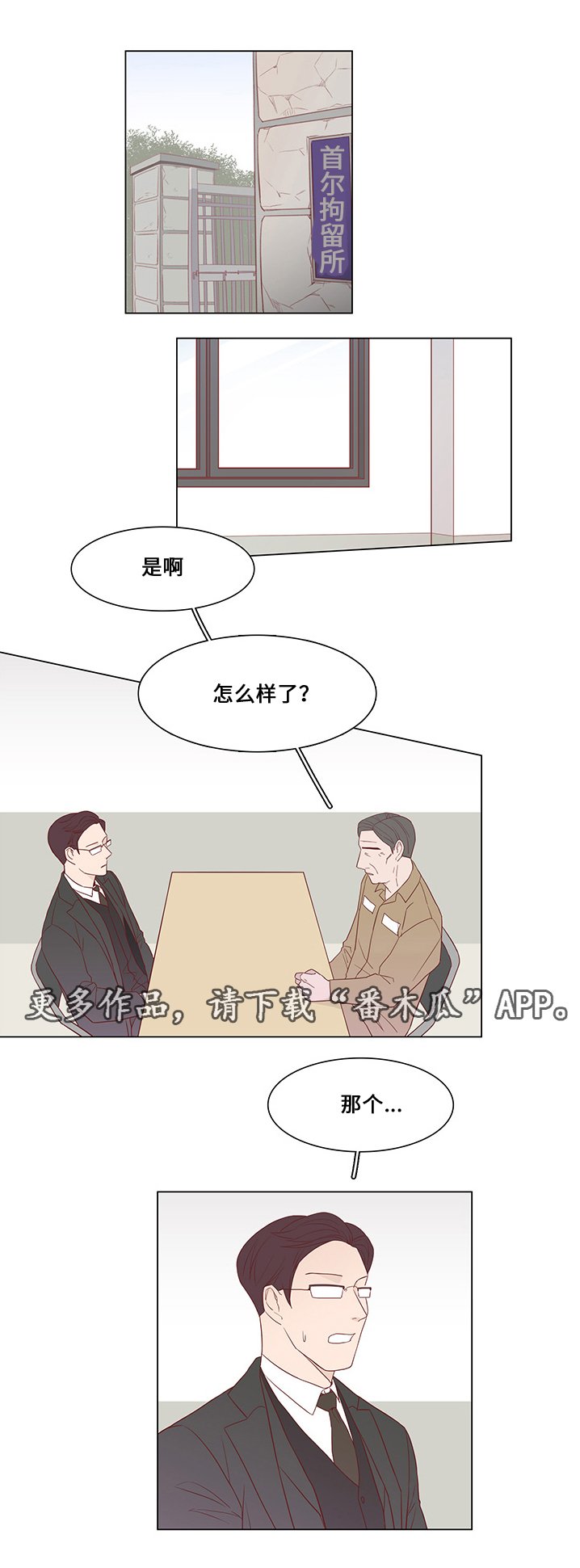 第31章：未来打算