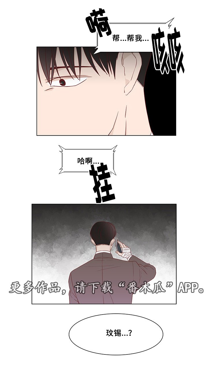第32章：最后赢家