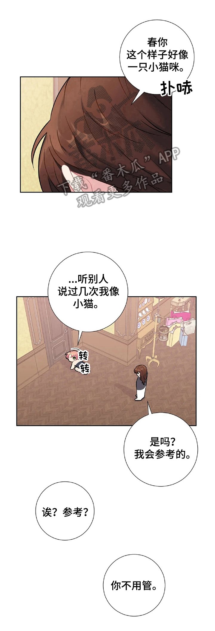 第18章：像猫咪