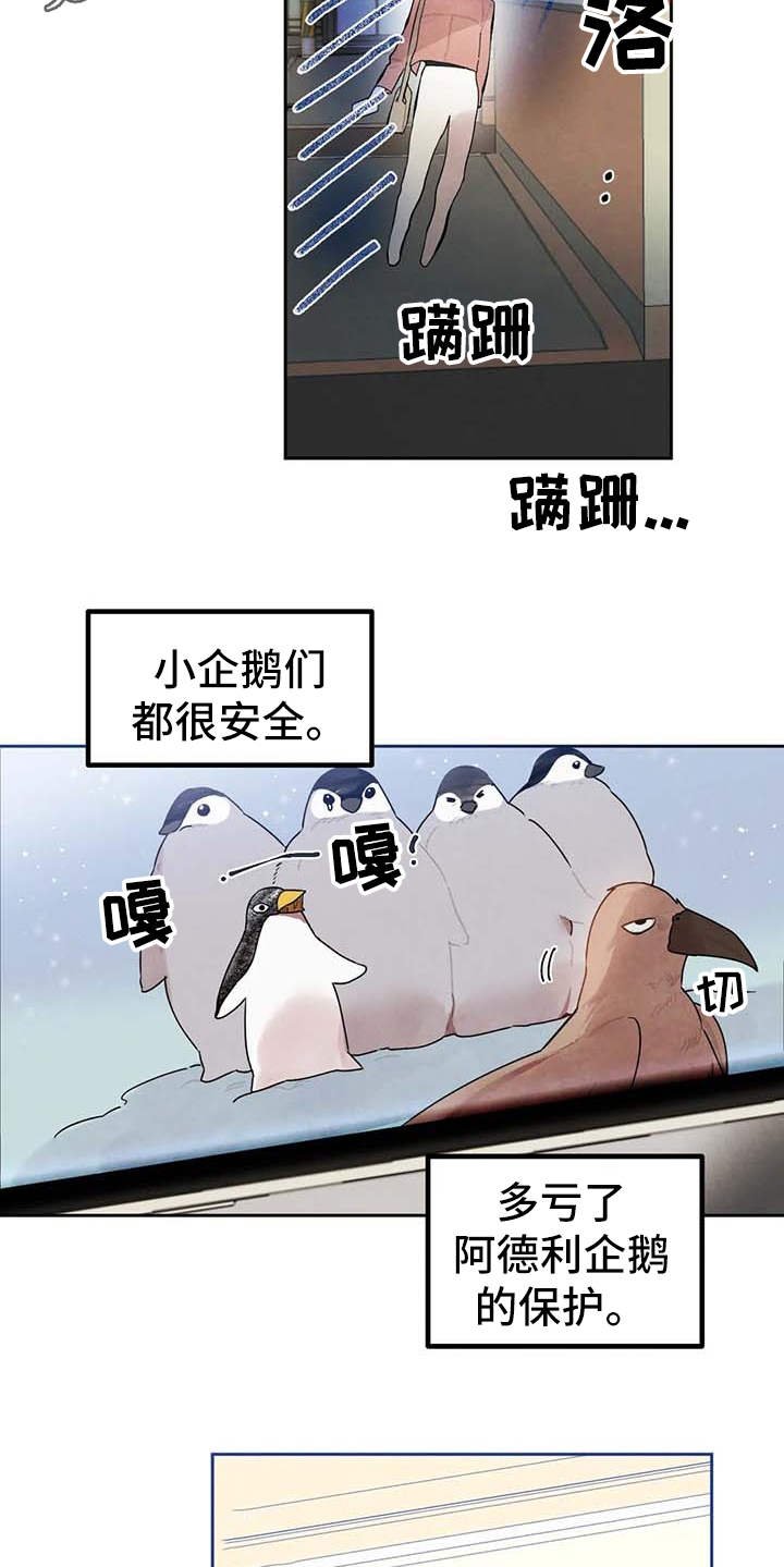 第25章：直播