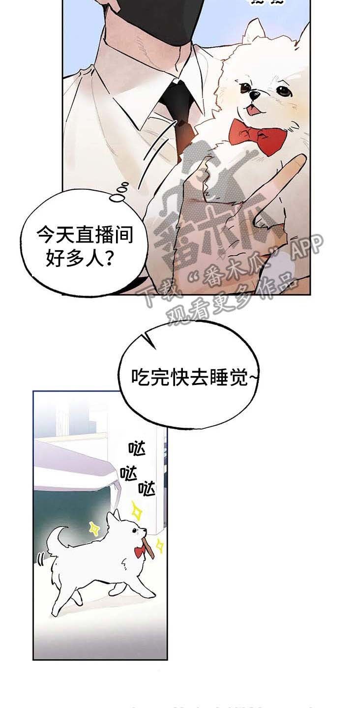 第26章：打赏