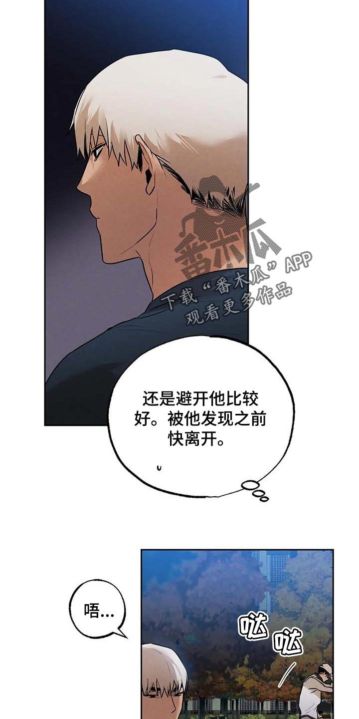 第47章：散步