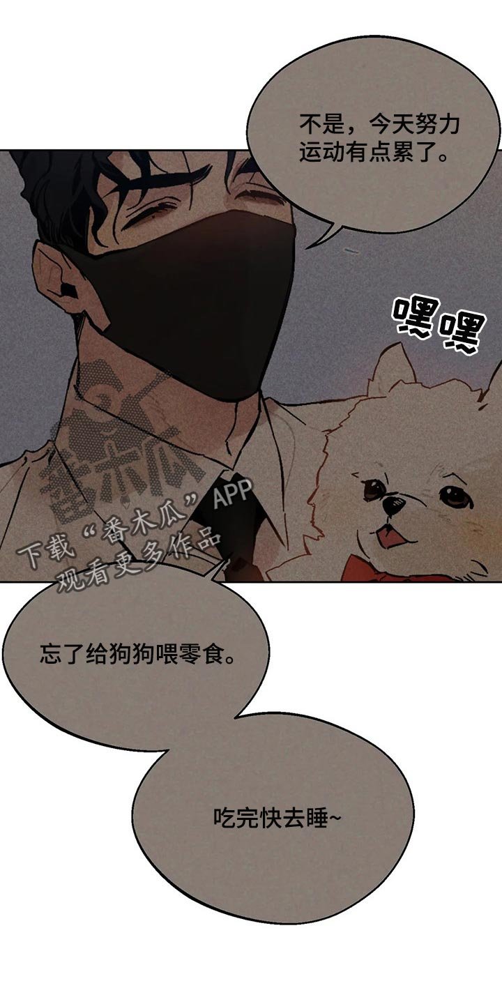第47章：散步
