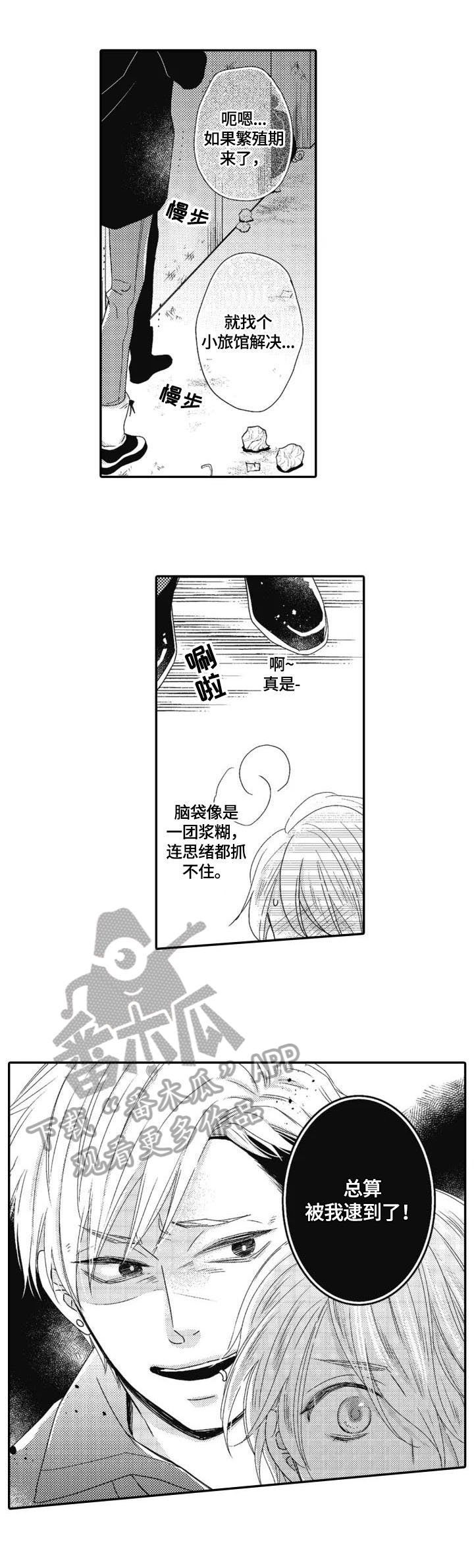 第15章：感觉不同