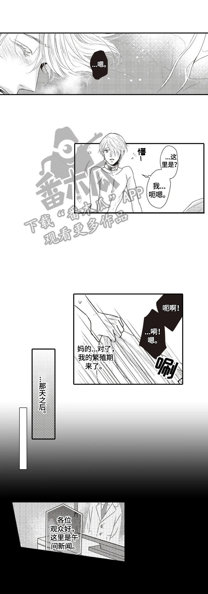 第4章：安排
