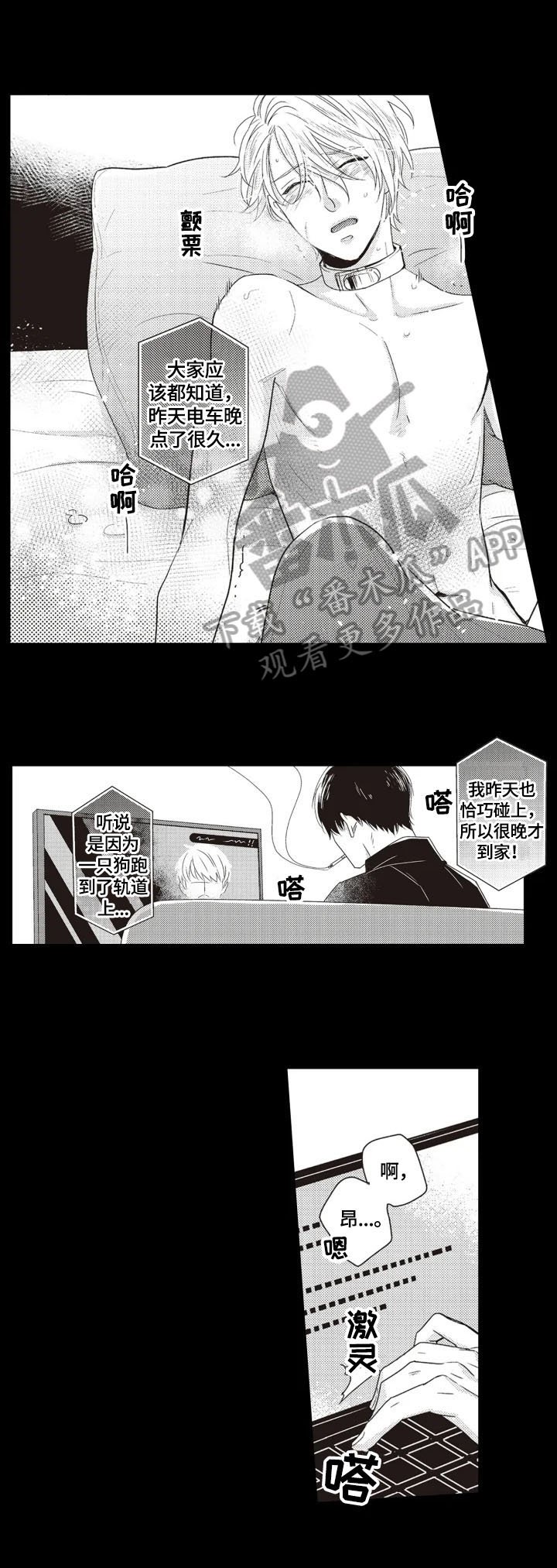 第4章：安排
