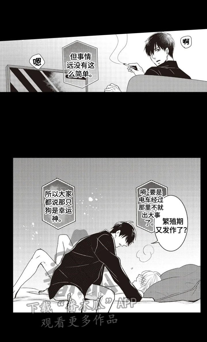 第4章：安排