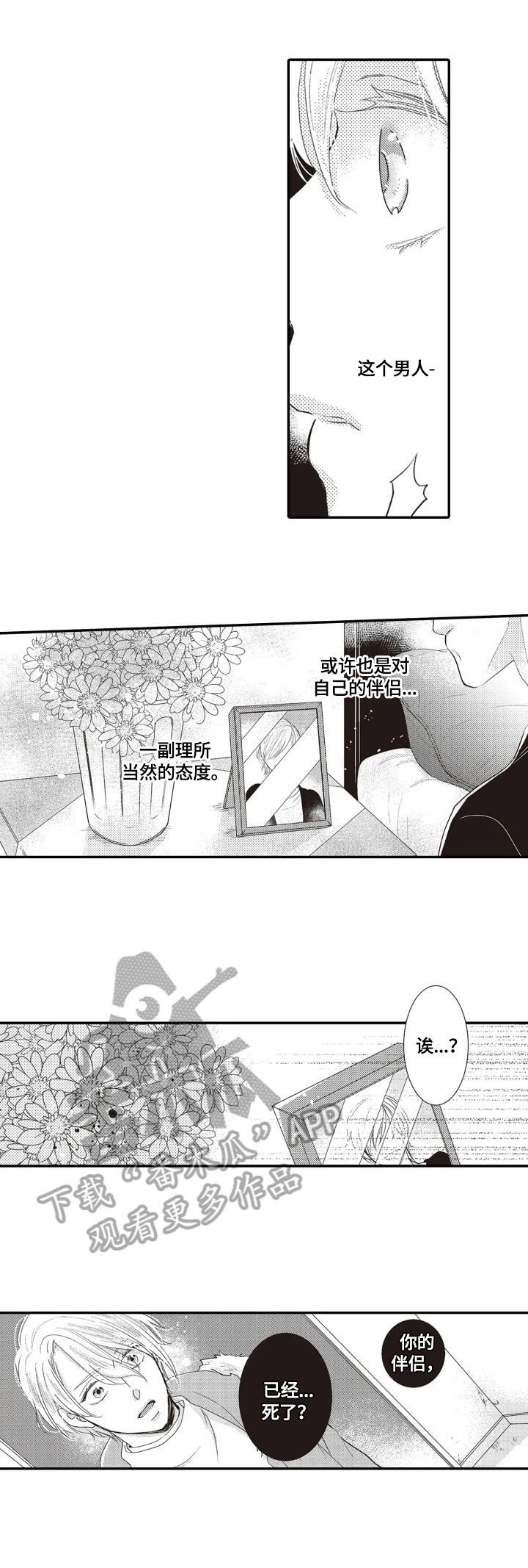 第5章：印象