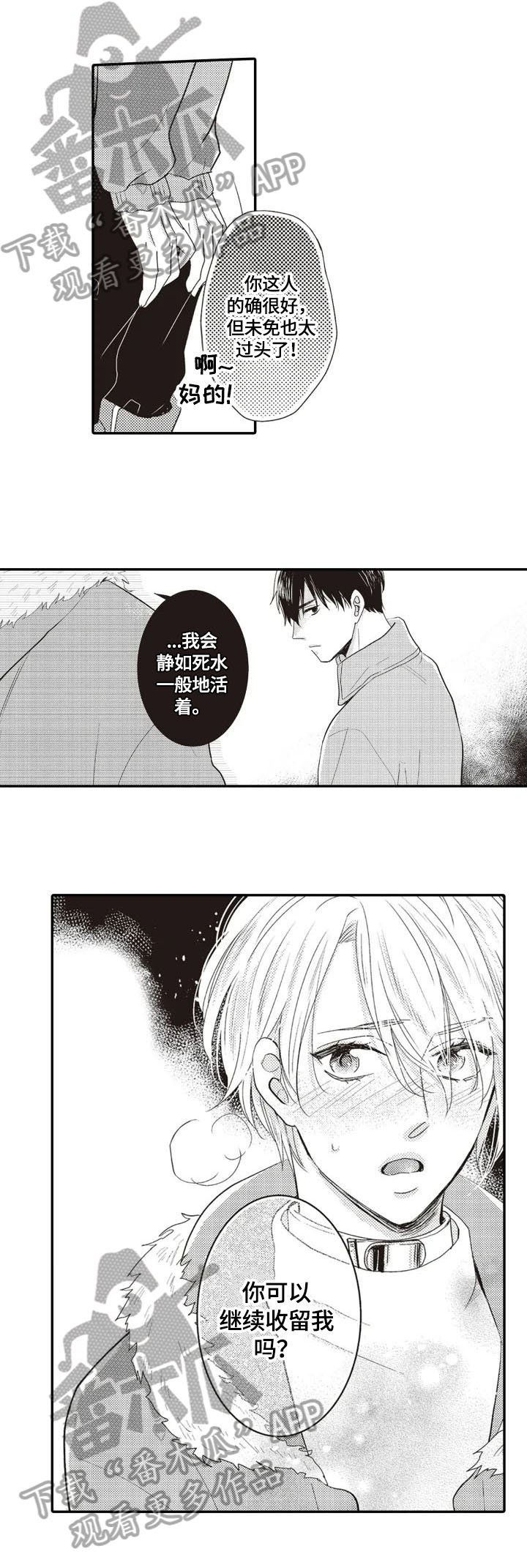 第7章：收留