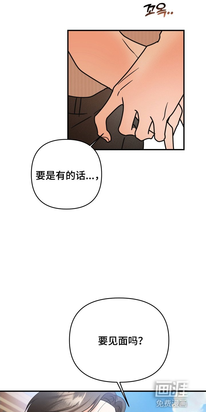 第15章：要见面吗